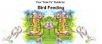 Bird Feeding