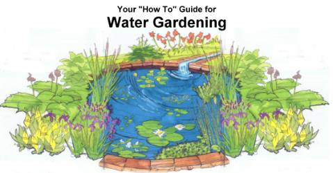 Water Gardening